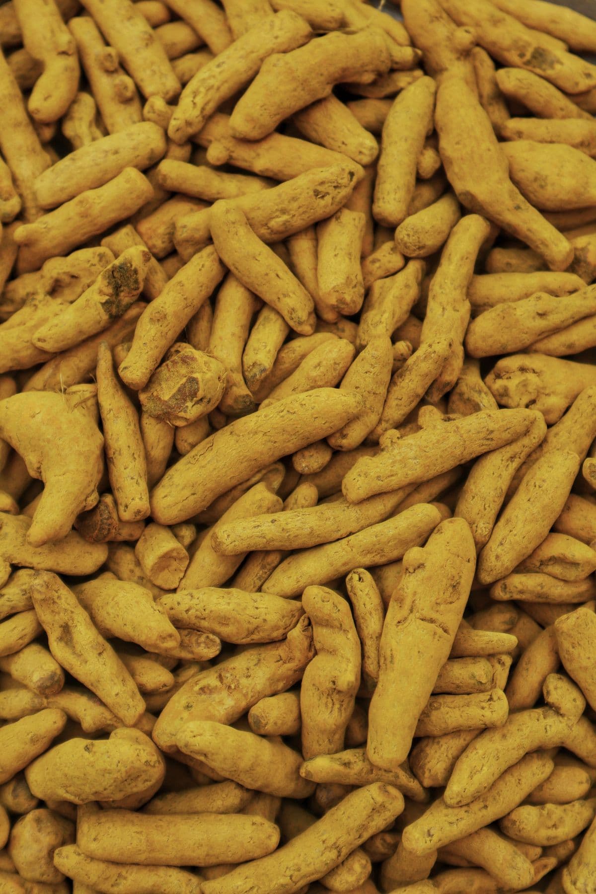 Turmeric